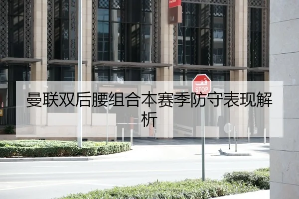 曼联双后腰组合本赛季防守表现解析（Yion）